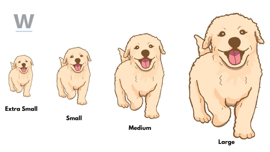 how-big-is-a-40-lb-dog-what-to-know-about-their-dimensions-wikiever